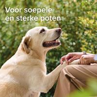 Beaphar Voetzolenspray voor de hond 150 ml - thumbnail
