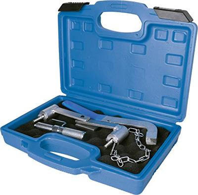 Brilliant Tools BT594670 Motorinstelgereedschapsset voor Renault, Volvo, Ford 16V, 20V benzine