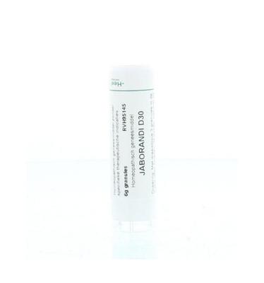 Homeoden Heel Jaborandi D30 6 Gram Homeoden Heel Jaborandi D30 6 Gram