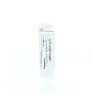 Homeoden Heel Jaborandi D30 6 Gram - thumbnail