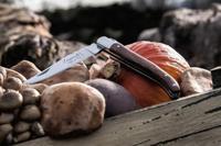 Laguiole Style de Vie Zakmes Rozenhout - thumbnail