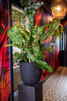 Capi Pilaar Smooth 36x36x79cm Zwart - thumbnail