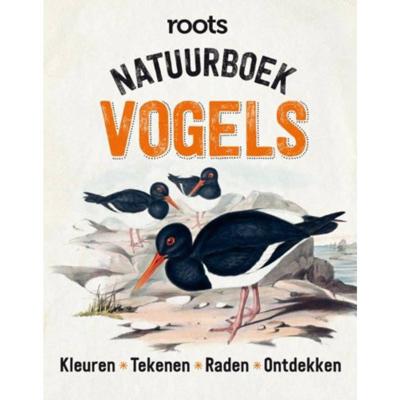 Doe-boek vogels (Hardback)