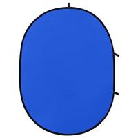 VidaXL Achtergrondscherm studio 2-in-1 ovaal 200x150 cm groen en blauw - thumbnail