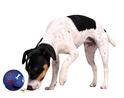 Snackbal voor de hond (verstelbaar) 2 x Small
