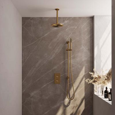 Gold Edition thermostatische regendouche met 3-weg omstelling SET 41 (20 cm)