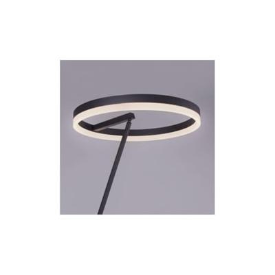 Paul Neuhaus Antraciete vloerlampTitus modern - 381-13