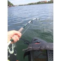 Madcat White Close Combat G2 1.70M 50-125Gr - thumbnail