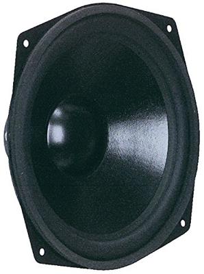 Visaton WS 25 E - 8 Ohm 10 inch 25.4 cm Woofer 80 W 8 Ω Visaton WS 25 E - 8 Ohm 10 inch 25.4 cm Woofer 80 W 8 Ω