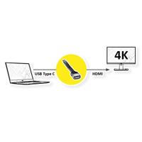 ROLINE Display Adapter USB Type C - HDMI, M/F, 0,13 m - thumbnail