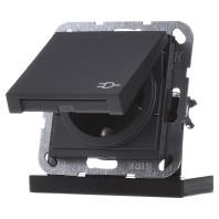 GIRA 045428 Wandcontactdoos met randaarde Inzetstuk System 55, Standaard 55, E2, Event, Event Clear, Event Opaque, Esprit, ClassiX Antraciet 1 stuk(s)