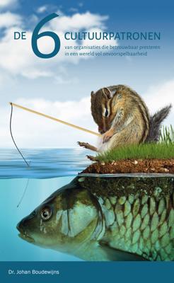 De 6 Cultuurpatronen - Dr. Johan Boudewijns - ebook