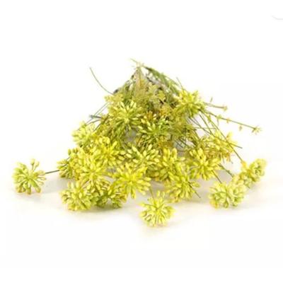 Kunst Tak Dille Geel Buitengewoon de Boet - Buitengewoon de boet Kunst Tak Dille Geel Buitengewoon de Boet - Buitengewoon de boet