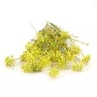 Kunst Tak Dille Geel Buitengewoon de Boet - Buitengewoon de boet - thumbnail