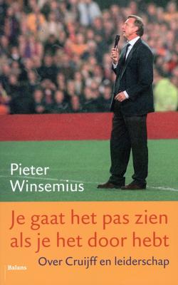 Je gaat het pas zien als je het doorhebt - Midprice - Pieter Winsemius - ebook