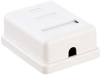 Delock 86169 Netwerkdoos Opbouw (op muur), Apparaatmontage Inzet met centraalstuk en frame CAT 6 1 poort Wit - thumbnail