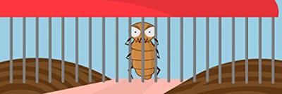 Nitcomb M2 alle haartypes - thumbnail