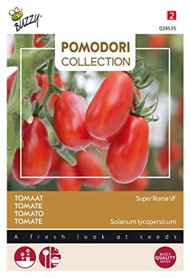 Zaden Pomodori Super Roma VF Buzzy - Buzzy Zaden Pomodori Super Roma VF Buzzy - Buzzy