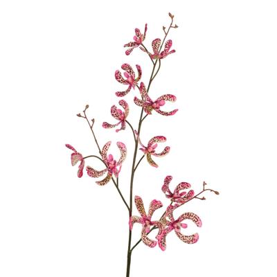 Roberts Collection Kunsttak orchidee vanda groen/roze 106cm