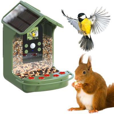 Easypix BirdyCam Wildcamera Met voerautomaat Groen