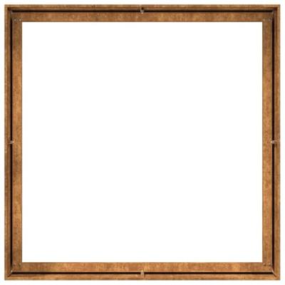 VidaXL Plantenbak roestig 100x100x40 cm weervast staal