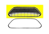 Bumpergrill Onder 1866599 - thumbnail