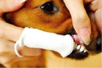 Petosan Oral Cleaner - thumbnail