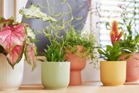 Elho Bloempot Vibes Fold Sorbet Groen Ø14cm - thumbnail