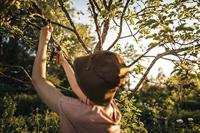 Fiskars 1057170 Plus™ P721 Tuinschaar 210 mm - thumbnail