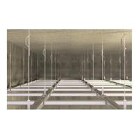 Fischer 44112 FNA II 6 x 30 M6/5 A4 Nagelanker 50 mm 6 mm 50 stuk(s) - thumbnail