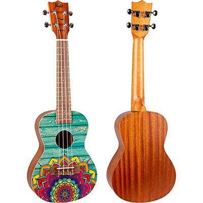 Flight Art Series AUC-33 Mansion concert ukelele met gigbag