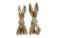 Haas Zen M a2 goud Countryfield - Countryfield - thumbnail