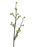 Cornoe green 60 cm (S) kunstbloem Nova Nature - Nova nature - thumbnail