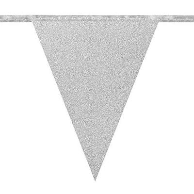 Zilveren Glitter Vlaggenlijn Karton - 6 meter