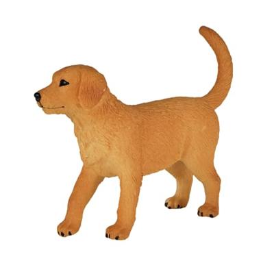 Mojo farmland golden retriever puppy 387205