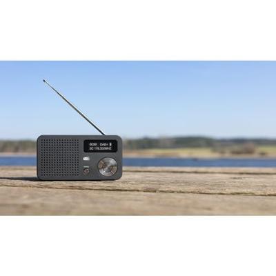 Imperial DABMAN 13 DAB+/FM-Radio Zwart