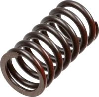 TRW koppelingsveer set clutch spring kit mef317-6 - thumbnail