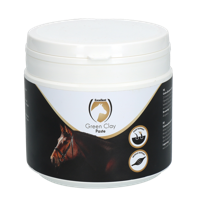 Excellent Horse Green Clay Paste 500 g - thumbnail