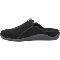 Westland VINCE 02 - alle - thumbnail