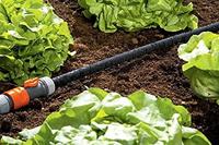 GARDENA 01987-22 Druppelslang Zwart per meter - thumbnail