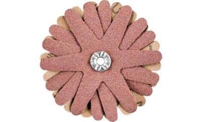 PFERD TOOLS 42732106 Schuursterren Diameter 70 mm 10 stuk(s)