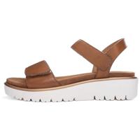 Ara 1233518 - alle - thumbnail