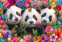 Puzzel - SCHMIDT SPIELE - Panda Trio - 200 stukjes - Vanaf 8 jaar - thumbnail