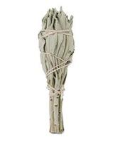 Ruben Robijn Saliebosje 12 cm 1 Stuks - thumbnail