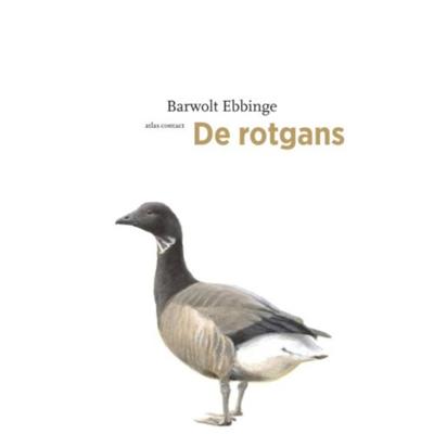 Barwolt Ebbinge De vogelserie 1 De rotgans Barwolt Ebbinge De vogelserie 1 De rotgans