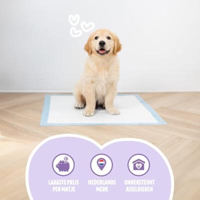 Easypets puppy training pads