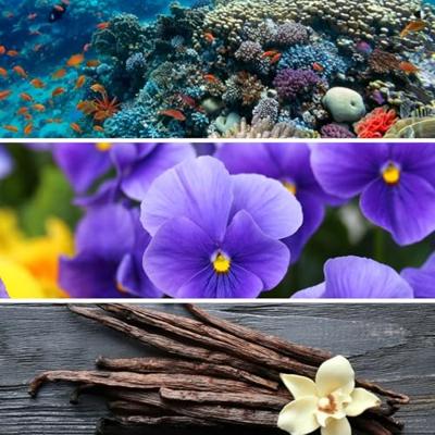 Giardini Di Toscana Celeste Eau de Parfum