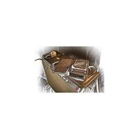 Fender Blues Deluxe D Harmonica - thumbnail