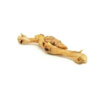 Voer Gloria - thumbnail