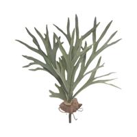 Hertshoorn 43 cm kunstplant Buitengewoon de Boet - Buitengewoon de boet - thumbnail